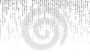 Binary code on white backdrop. Matrix effect with falling digits. Digital data stream. Falling random numbers on light