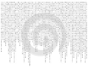 Binary code zero one matrix white background beautiful banner wa