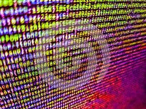 Binary computer code background, abstract. Real Html code developing screen. Internet connection stream flow concept. Python