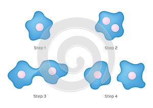 Binary fission vector on white background