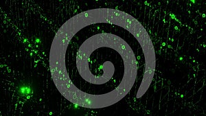 Binary matrix of green ones and zeros rotating and flashing. Digital background concept of big data, computer technology