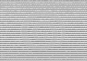 Binary Numbers