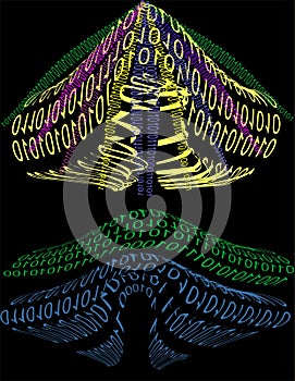 Binary numbers roaming through...