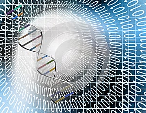 Binary tunnel and DNA Strand