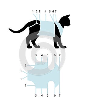 Binding of postoperative bandage on cat