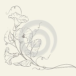 Bindweed flower pattern.