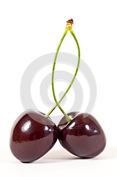 Bing Cherries photo