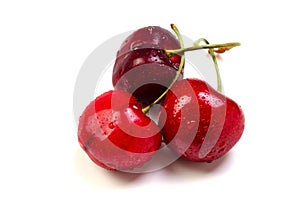 Bing cherry photo
