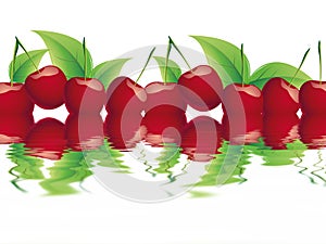 Bing cherry