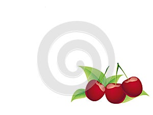 Bing cherry