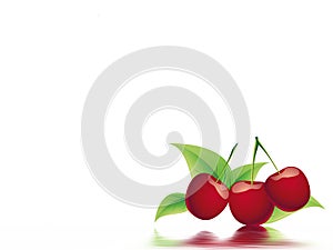 Bing cherry