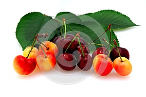 Bing And Rainier Cherries