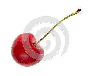 Bing variety cherry on white background