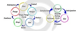 Binge - Purge vs Healthy Eating Cycles