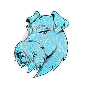 Bingley Terrier Head Drawing