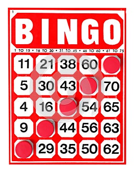 Bingo photo