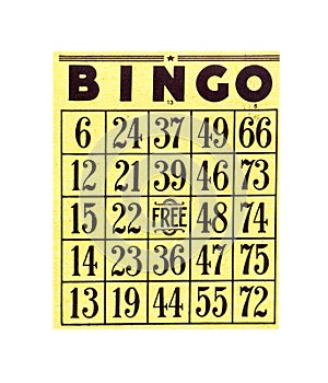 Bingo Card photo