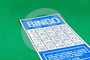 Bingo card risk gamble game