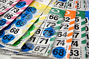Bingo Cards / Boards photo