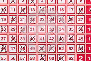 Bingo lotto lottery ticket with crossed numbers