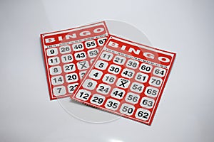 Bingo Sheet on white background - game related