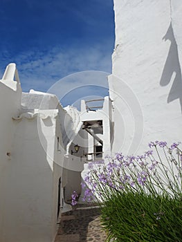 Binibeca. Menorca. Islas Baleares. photo