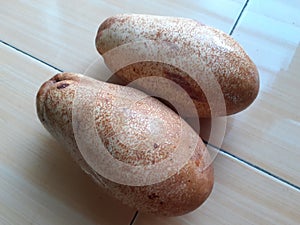 Binjai or Mangifera caesia close up