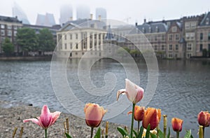 Binnenhof, place of Parliament in The Hague in the Netherlands with tulips