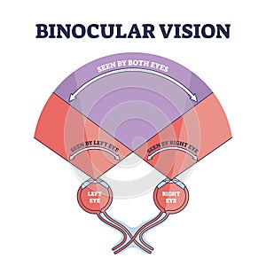 Binocular vision explanation with right and left eye sight outline diagram