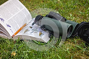 Binoculars and Bird Guide