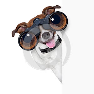 Binoculars dog