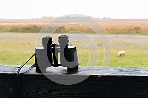 Binoculars of a hunter on a shooting range. Free nature and animal in the wildnerness