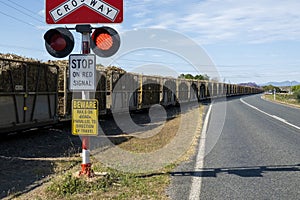 Bins Of Harvested Sugarcane At Railway Crossing Stop Sign