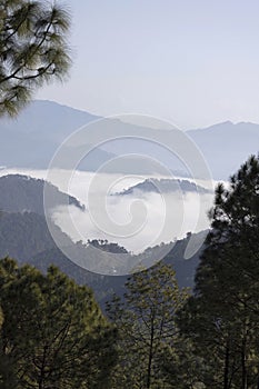 Binsar with  panoramic view of the mountains, Uttarakhand