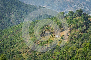 Binsar, Uttarakhand, India