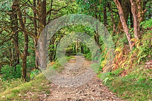 Binsar, Uttarakhand, India