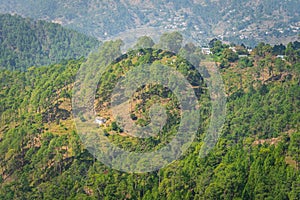 Binsar  Uttarakhand  India