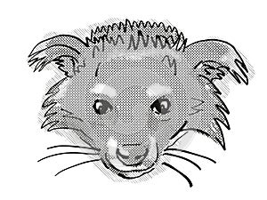 Binturong or Arctictis binturong Endangered Wildlife Cartoon Retro Drawing