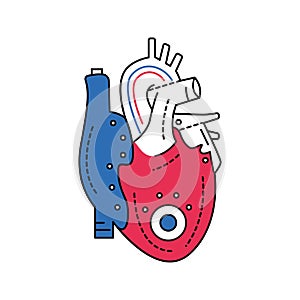 Bio artificial heart color line icon. Engineered heart. Contains the extracellular structure. Replaces an absent natural herart.
