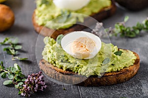 Bio avocado on bread with boiled egg