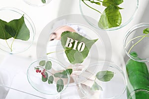 Bio