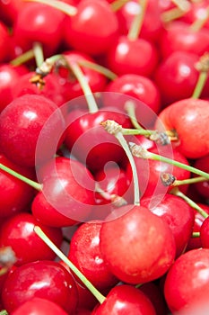 Bio cherries