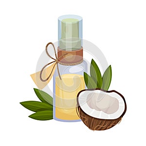 Bio Coconut Oil Bottle and Cross Cut Nut Vector Illustration Isolated On White Background