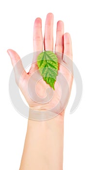 Bio concept - woman hand with green leaf