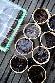Bio-degradabile pots with soil