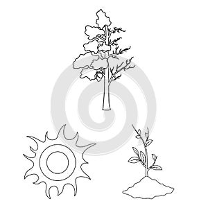 Bio and ecology outline icons in set collection for design. An ecologically pure product vector symbol stock web