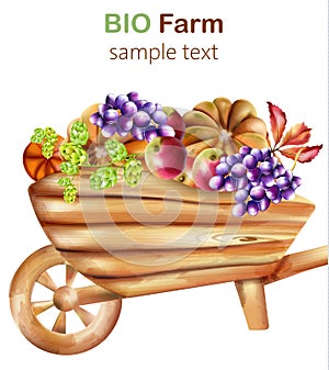 Bio farm composition with wooden wheelbarrow filled with artichoke, pumpkins, apple, grapes and leaves