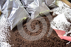 Bio fertilizer earthworm manure for plants