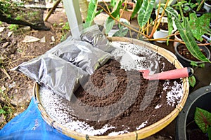 Bio fertilizer earthworm manure for plants