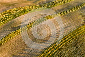 bio fields in South Moravia
